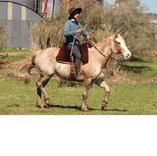 Lote MOHARRA DEL CONVENTOS