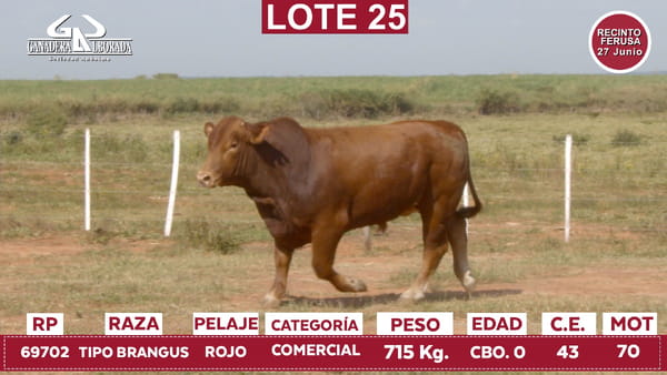Lote Reproductores de Alborada - Lote 25