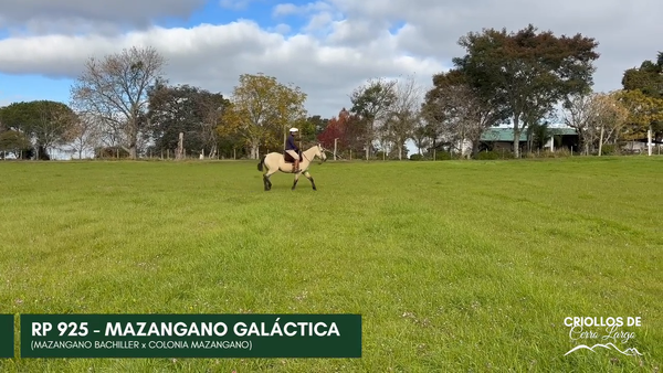 Lote MAZANGANO GALÁCTICA