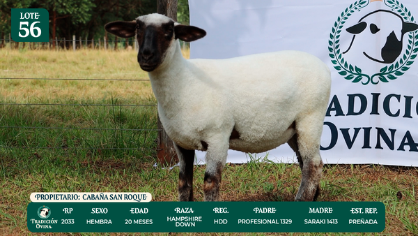 Lote LOTE 56