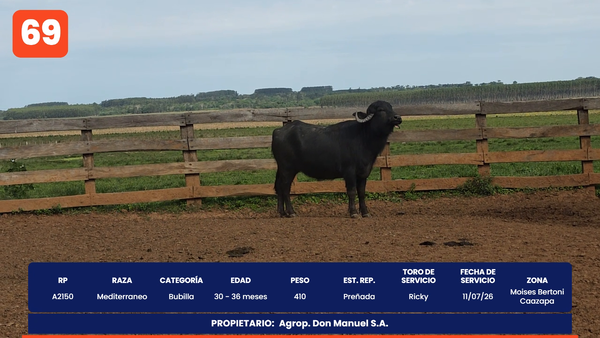 Lote LOTE 69