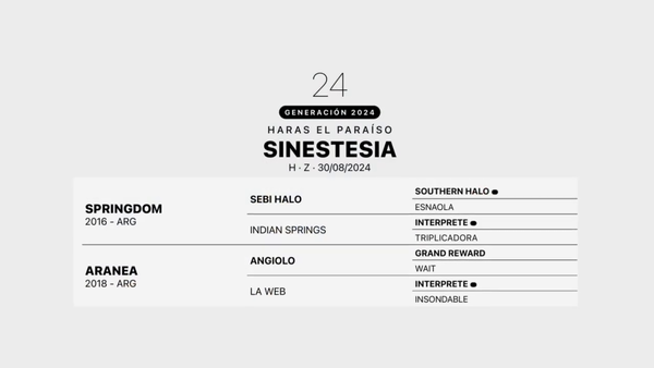 Lote SINESTESIA