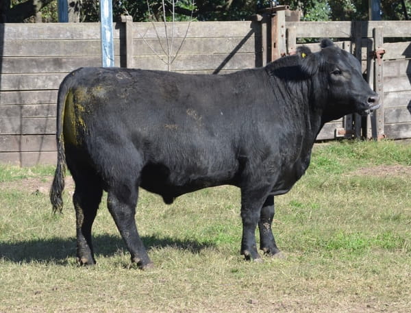 Lote CABAÑA “COEMBOTÁ” de Calderón RP 124