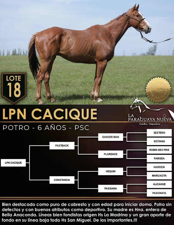 Lote LPN CACIQUE