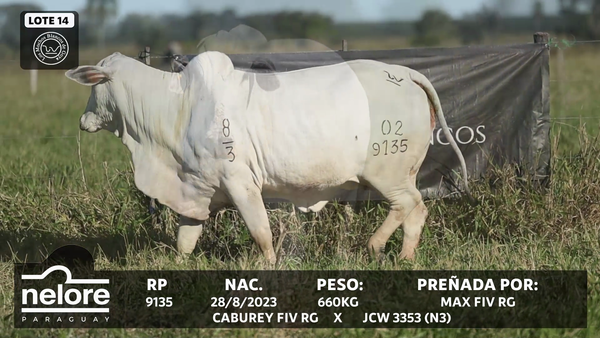 Lote LOTE 14