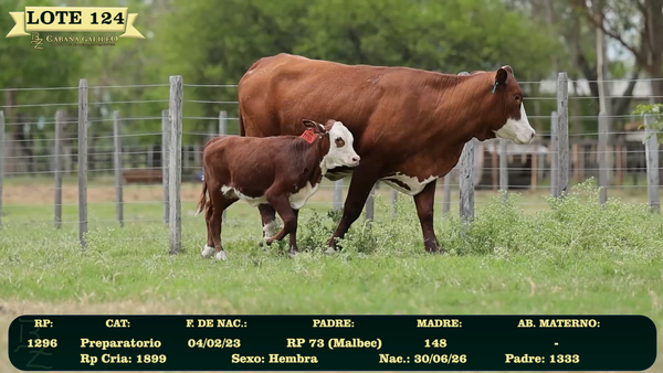 Lote LOTE 124