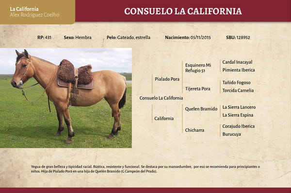 Lote Consuelo La California (RP 431) - Cabaña La California
