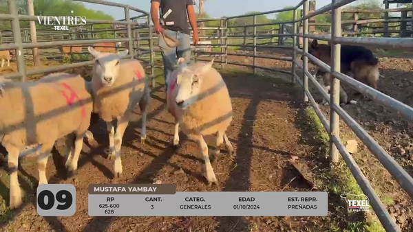 Lote LOTE 9