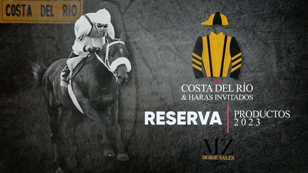 Lote ENTMASCARADO (FULL MAST -  ENTIDAD por EQUAL STRIPES)