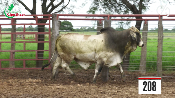 Lote Brahman