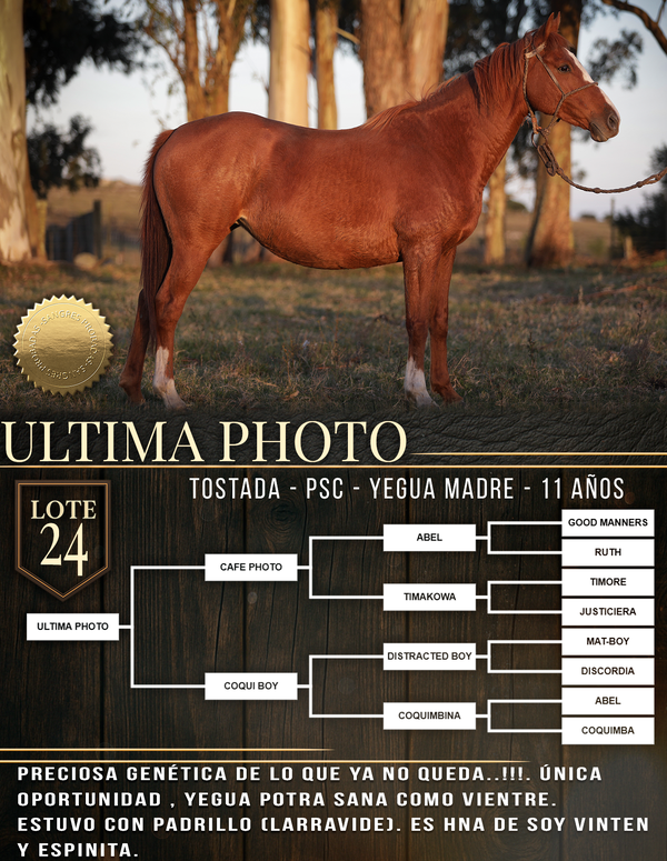 Lote ULTIMA PHOTO
