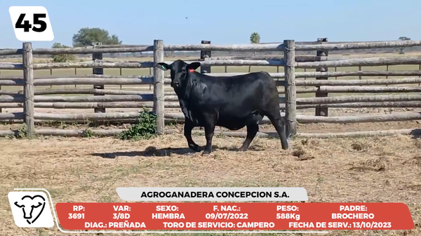 Lote LOTE 45