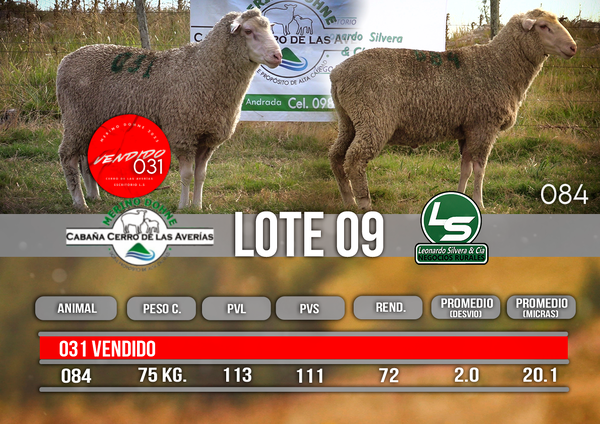 Lote LOTE 9