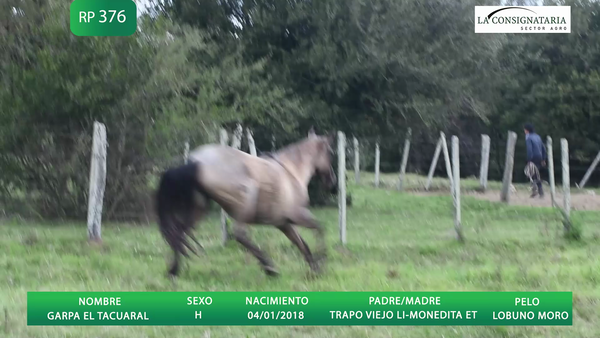 Lote GARPA EL TACUARAL