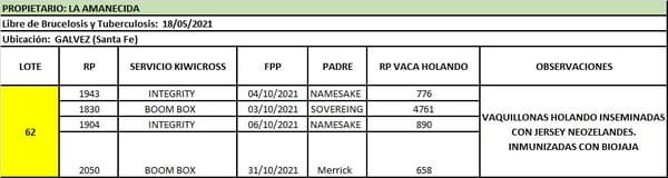 Lote Lote 62 La amanecida