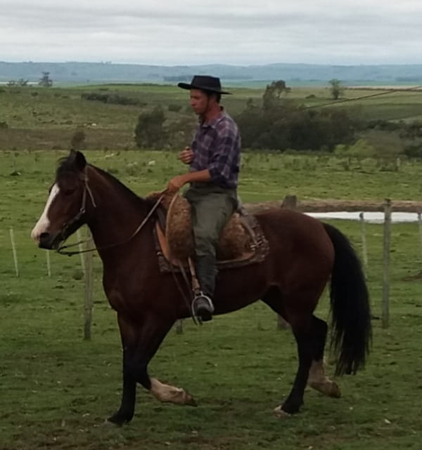 Lote Cabaña "La Constancia" - RP 31 - Lagunera La Constancia