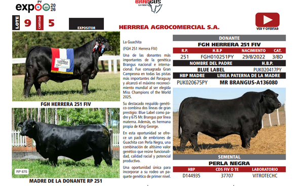 Lote LOTE 9