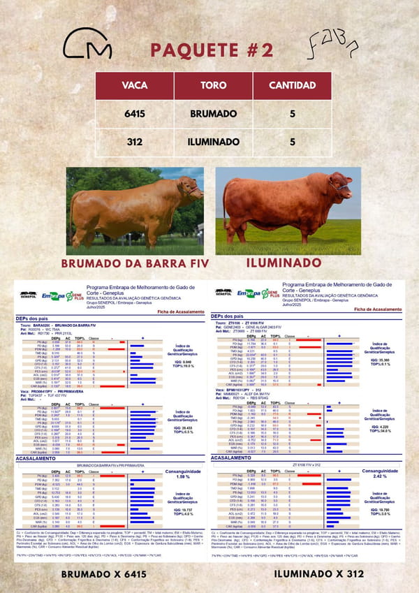 Lote PAQUETE 2