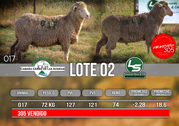 Lote LOTE 2