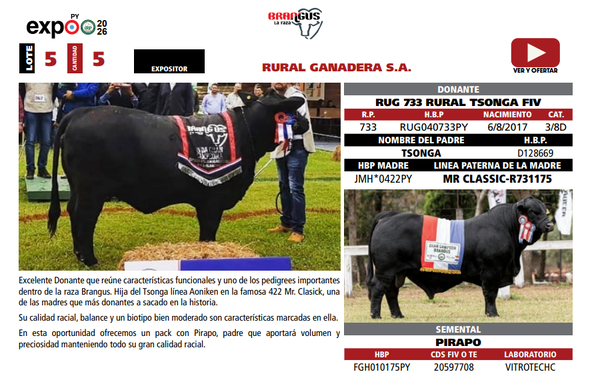 Lote LOTE 5