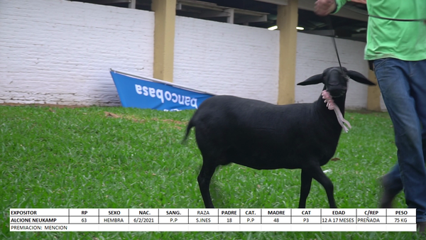Lote Santa Inés Expo Internacional 2022 - Lote 6