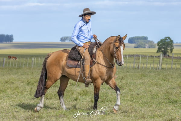 Lote Navaja De Los Recuerdos TE
