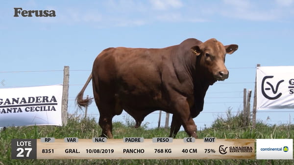 Lote Ganadera Santa Cecilia - Lote 27