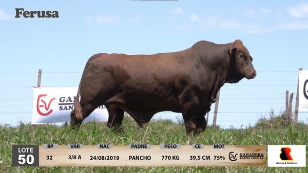 Lote Ganadera Santa Cecilia - Lote 50