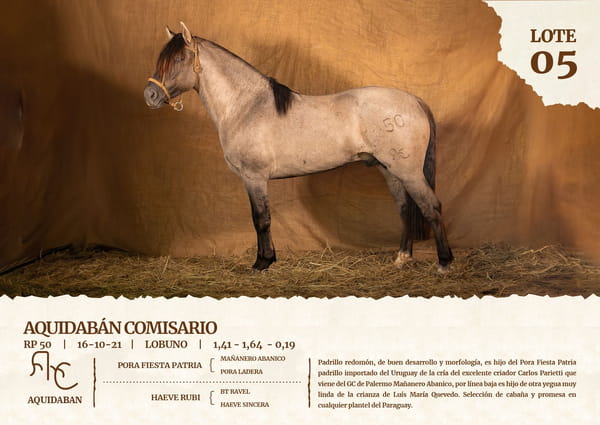 Lote AQUIDABAN COMISARIO