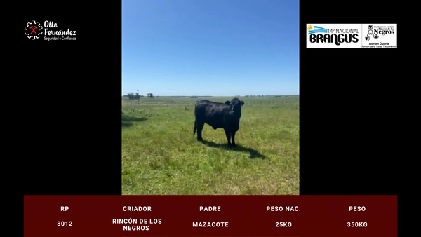 Lote Rincon de Los Negros