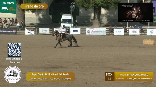 Lote MANOJO LAS PIEDRITAS - LAS PIEDRITAS Y CARLOS LOWE