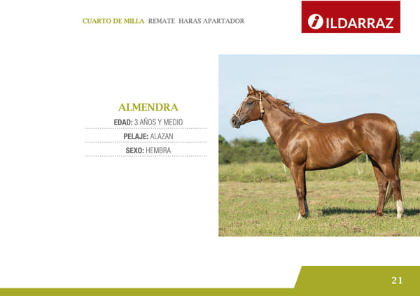 Lote ALMENDRA