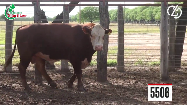Lote Hereford