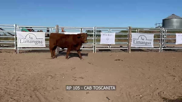 Lote RP 105 LA TOSCANITA