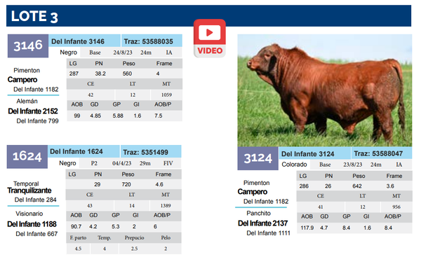 Lote Lote 3
