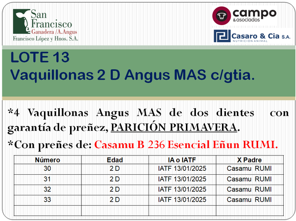 Lote 4 Vaquillonas Angus MaS con garantía de preñez, al parir. San Francisco