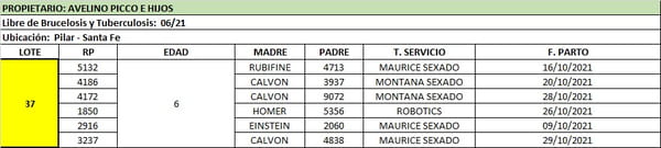 Lote Lote 37 Avelino Picco