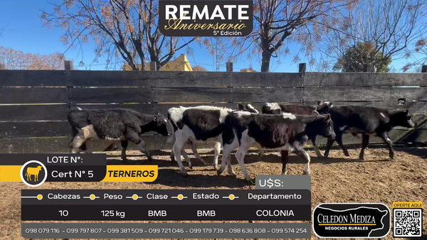 Lote 10 Terneros en Paso Antolín, Colonia
