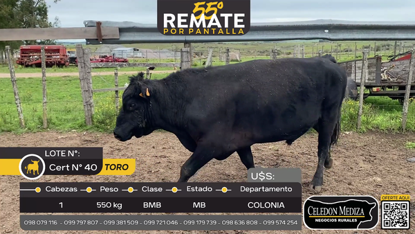 Lote 1 Toros en Puntas del Rosario, a 25 km de Cardona Colonia