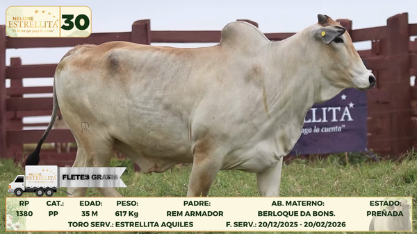 Lote LOTE 30