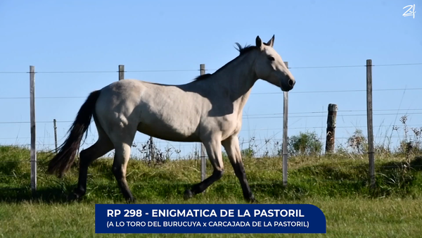 Lote Enigmatica de La Pastoril