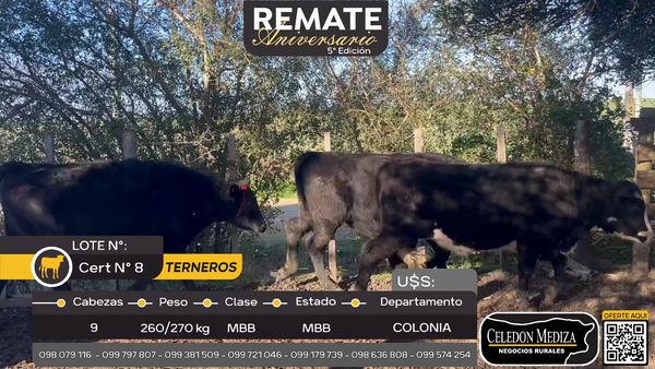 Lote 8 Terneros en Tarariras, Colonia