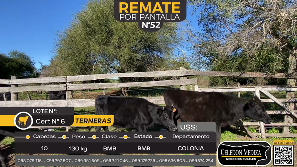 Lote 10 Terneras en Artilleros, Colonia
