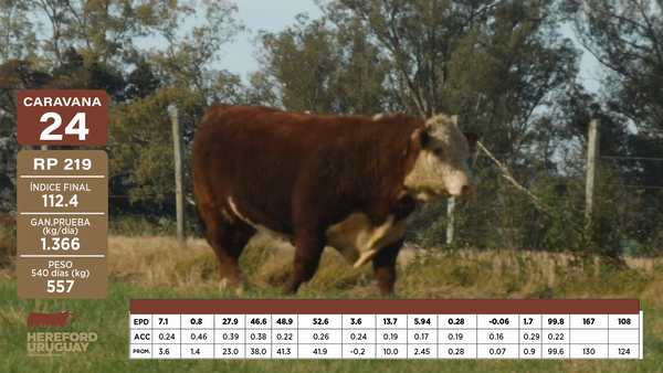 Lote Caravana 24 "PUEBLA DEL RÍO S.A."