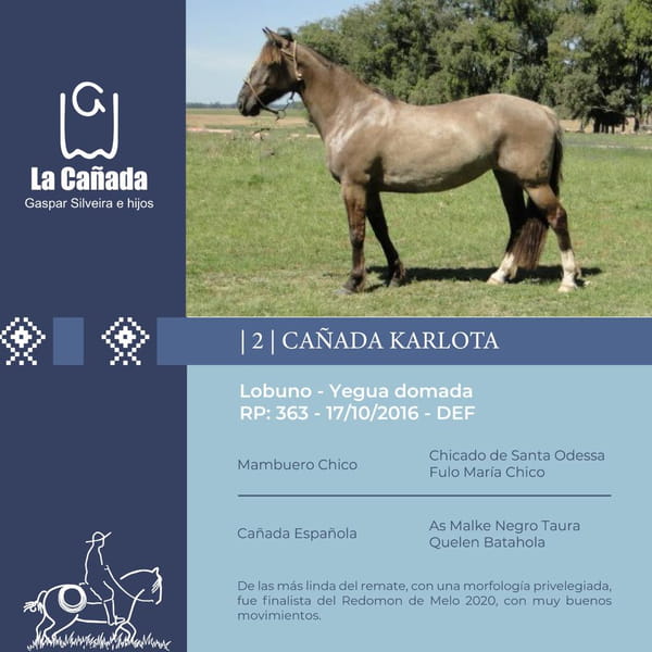 Lote Cañada Karlota (RP 363) Cabaña "La Cañada"