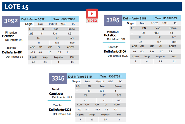 Lote Lote 15