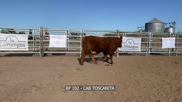 Lote RP 102 LA TOSCANITA