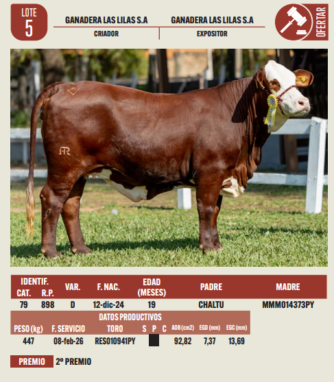 Lote LOTE 5