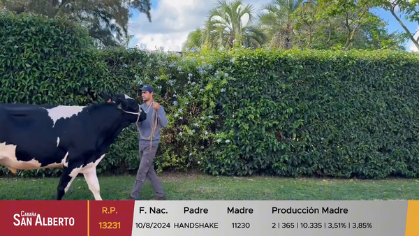Lote Toros, Canelones