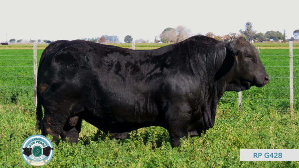 Lote CABAÑA DON PEDRO